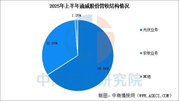 2025年中国光伏电池片行业市场前景预测研究(图10)